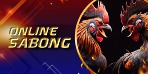 Sabong Live - The Ultimate Online Cockfighting Arena Of 2024