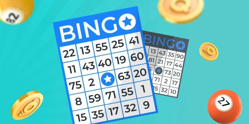 Most detailed how to play bingo at online entertainment gaming portals