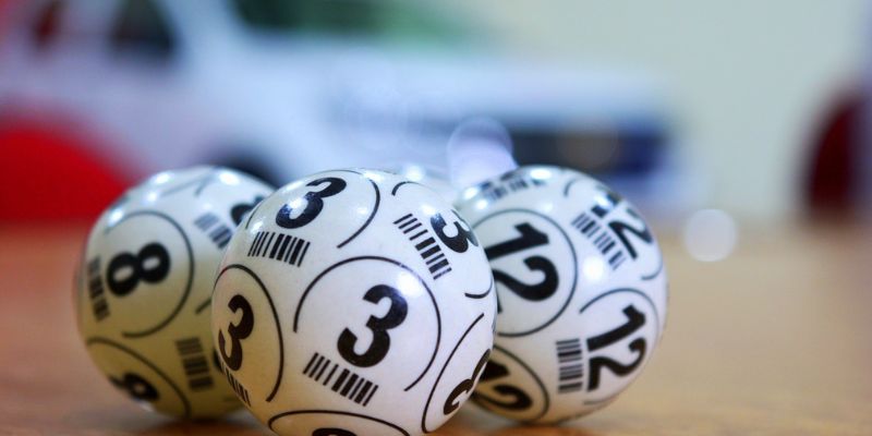 Explore Online Lottery at the Bookmaker